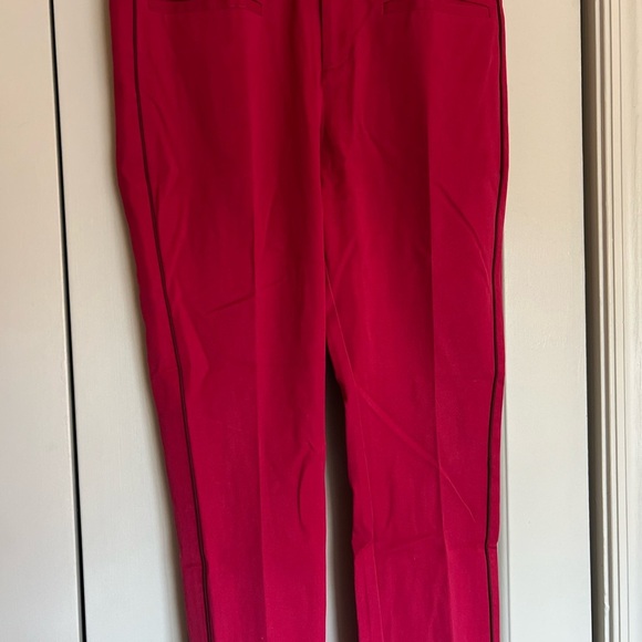 Anthropologie fuchsia essential skinny leg pants with purple stripe - Picture 3 of 7